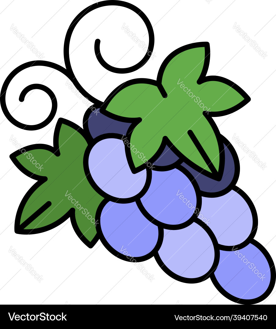 Table grape icon color outline Vector Image