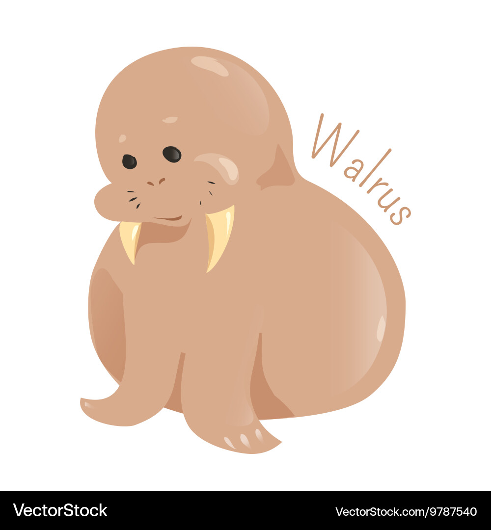 Walrus isolated child fun pattern icon Vector Image