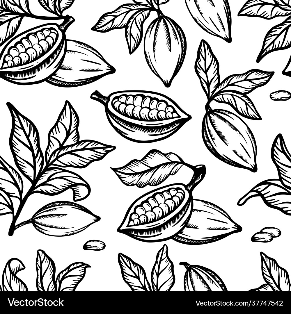 Cocoa monochrome sketch seamless pattern Vector Image