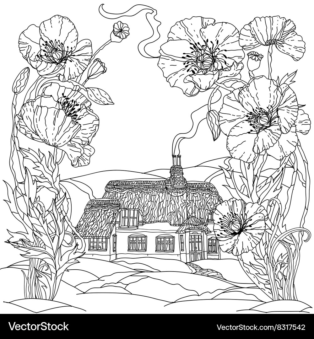 Field poppies spring pattern Vector Image