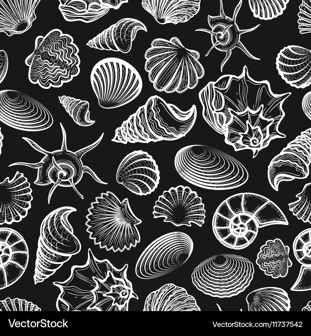 Seamless pattern with sea shells vector image