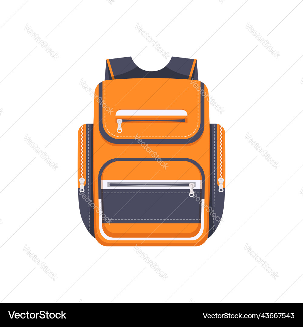 Backpack bag back pack travel and sport rucksack vector image