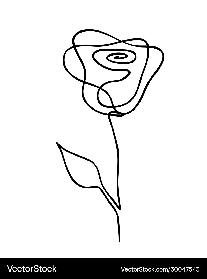 One line drawing abstract rose hand drawn modern