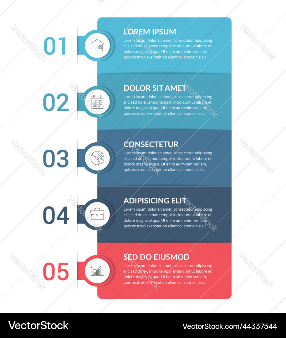 5 Step Workflow Infographic Template vector image