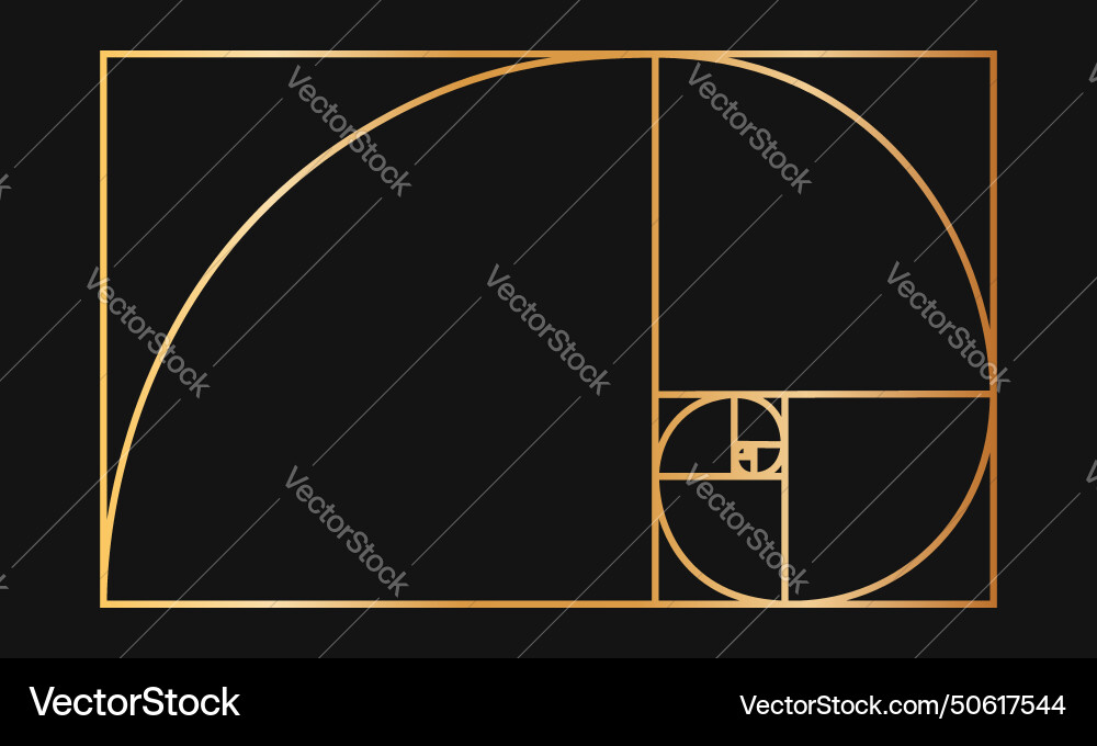 Golden ratio template gold logarithmic spiral Golden ratio template gold logarithmic spiral vector image