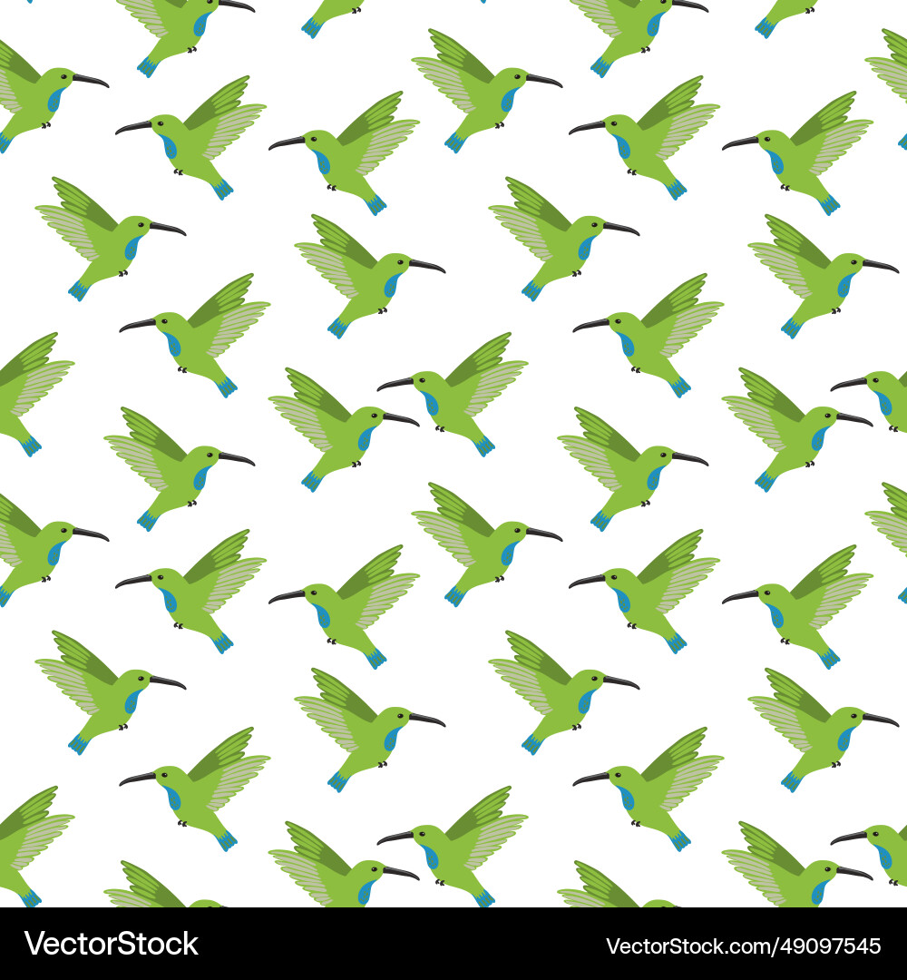 Drawing seamless pattern with humminhbird vector image