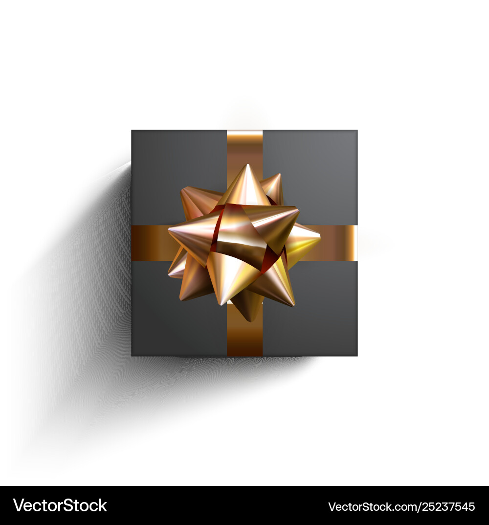Surprise gift box present gold ribbon Surprise gift box present gold ribbon vector image