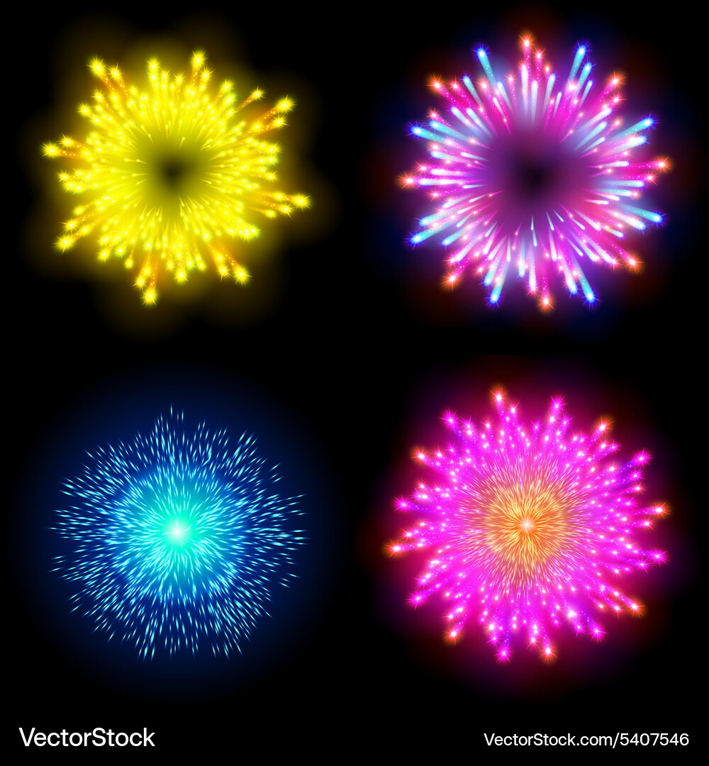 Festive patterned firework bursting in various Vector Image