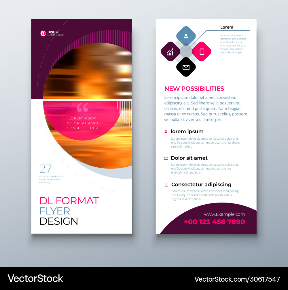 Dl flyer design business template vector image