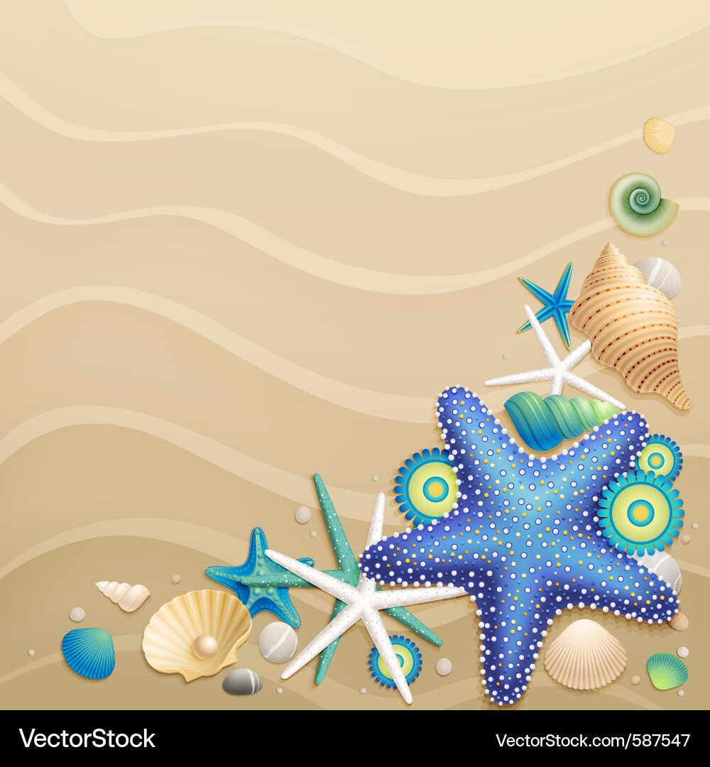 Shells and starfish Royalty Free Vector Image - VectorStock