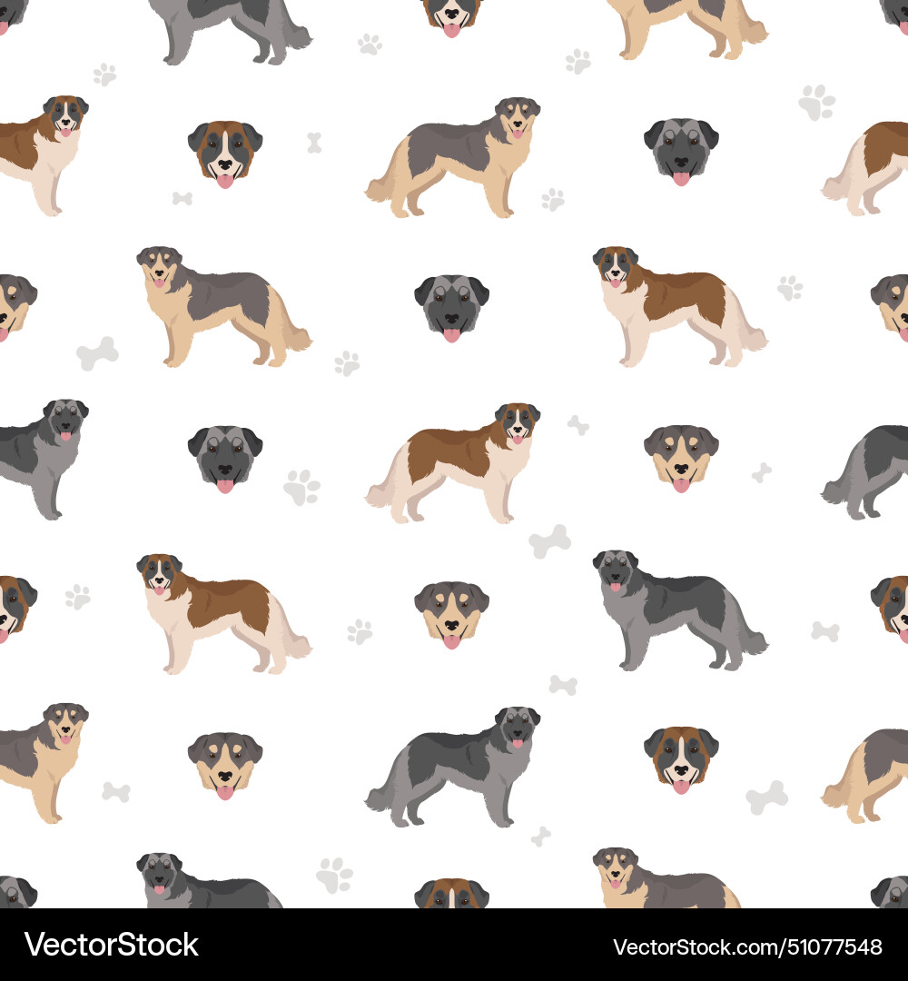 Carpathian shepherd dog seamless pattern Vector Image