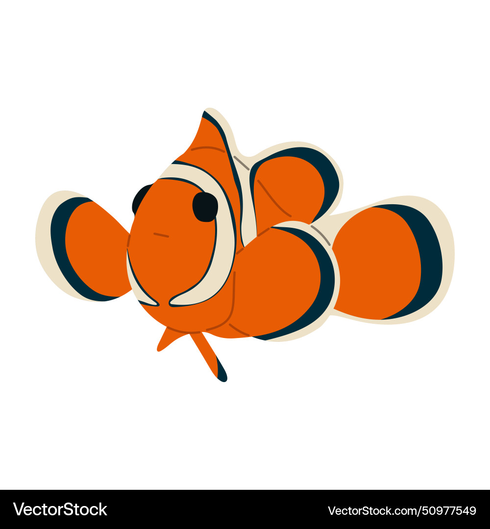 Anemonefish single 7 Royalty Free Vector Image