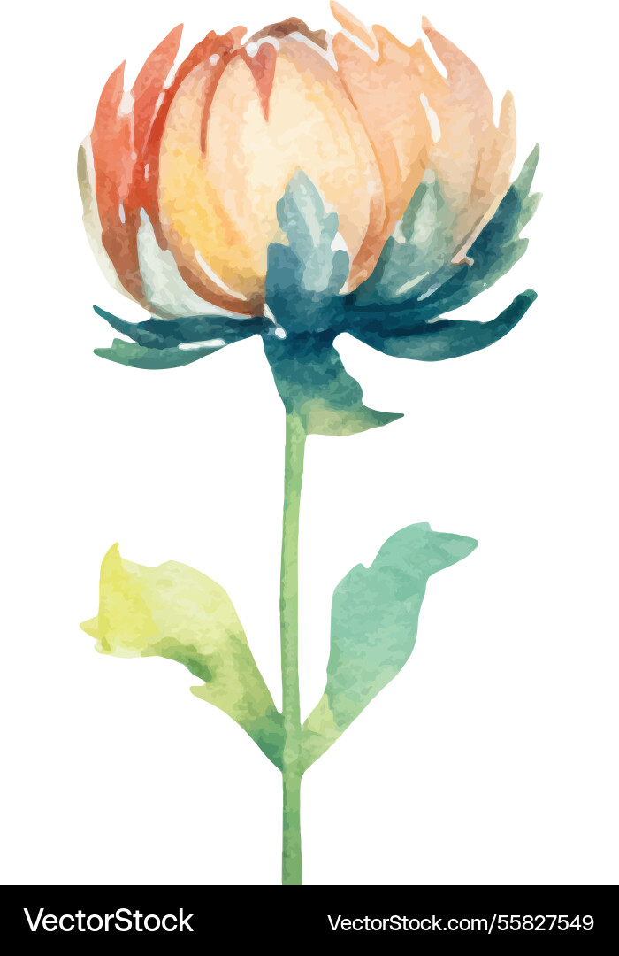Aquarell bemalte Dahlia Blume Hand gezeichnet Aquarell bemalte Dahlia Blume Hand gezeichnet vektorbild