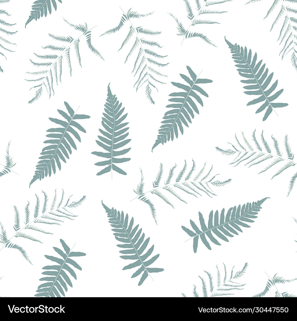 Fern tropical forest mint colors plant leaves Fern tropical forest mint colors plant leaves vector image