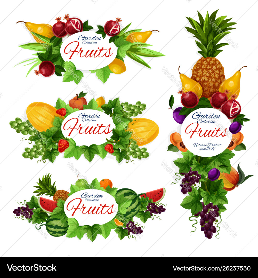 Orange fruit strawberry berry tropical pineapple Orange fruit strawberry berry tropical pineapple vector image