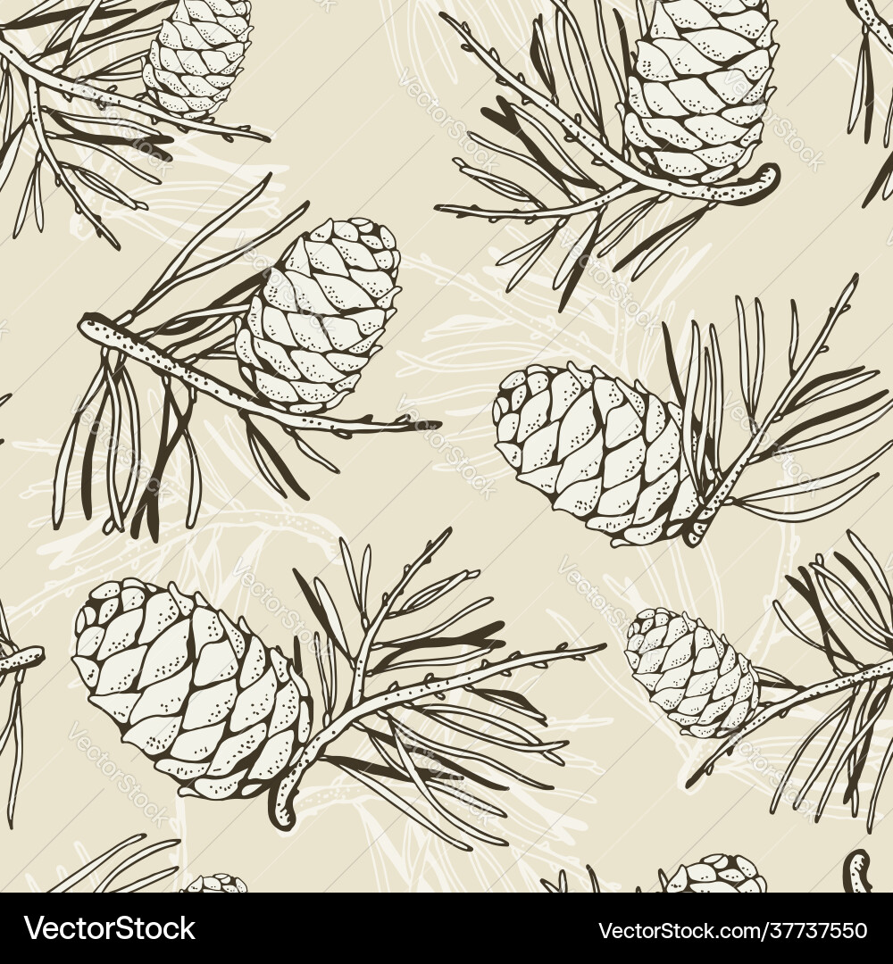 Rustic Pine Cone & Cedar Branch Pattern vector image
