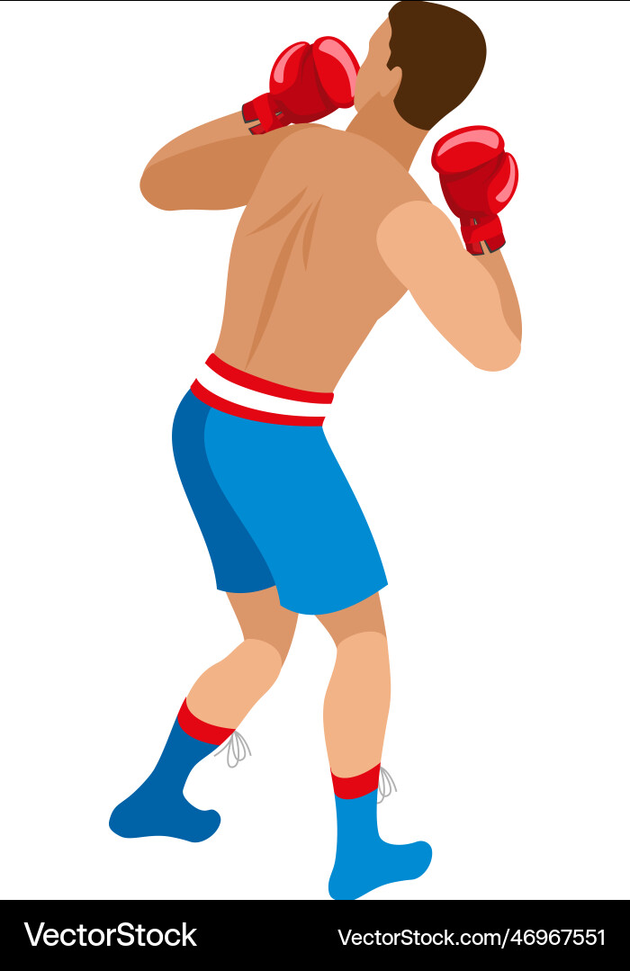 Boxer isometric vector image