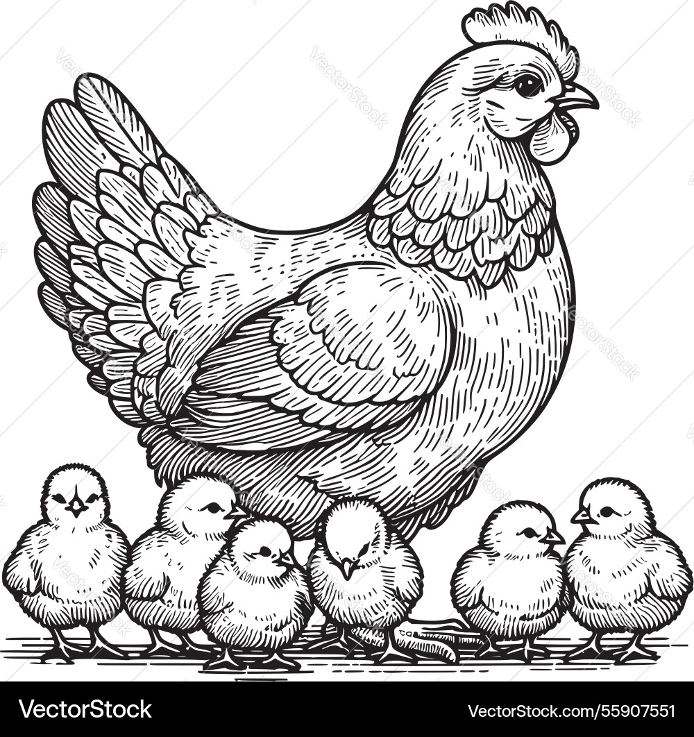 Baby Chicks Silhouette Baby Chick Svg, SVG Files For Cricut, Chick