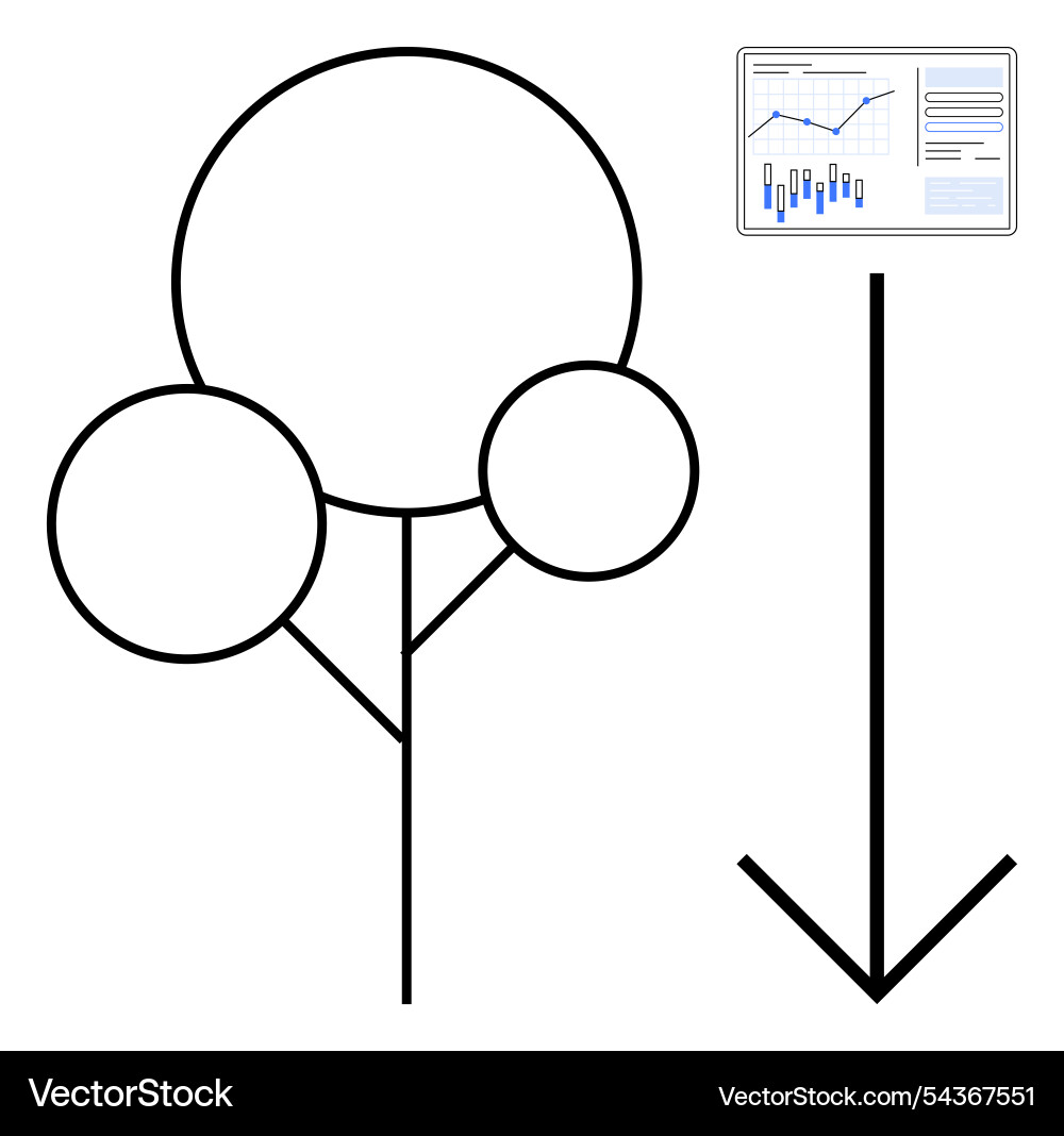 Line diagram of organizational tree with data Line diagram of organizational tree with data vector image