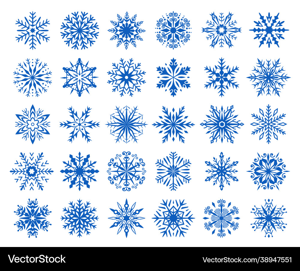 Winter snowflakes icons ice flakes snow crystals Winter snowflakes icons ice flakes snow crystals vector image