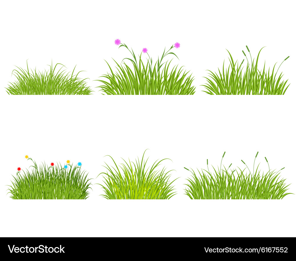 391 Royalty Free Vector Image - VectorStock