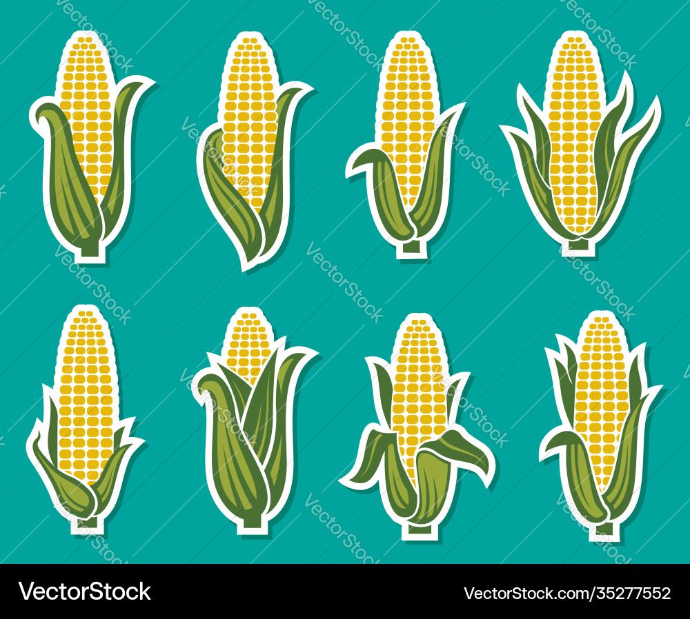 Corn Cob Icon Set - Green Background Royalty Free Vector