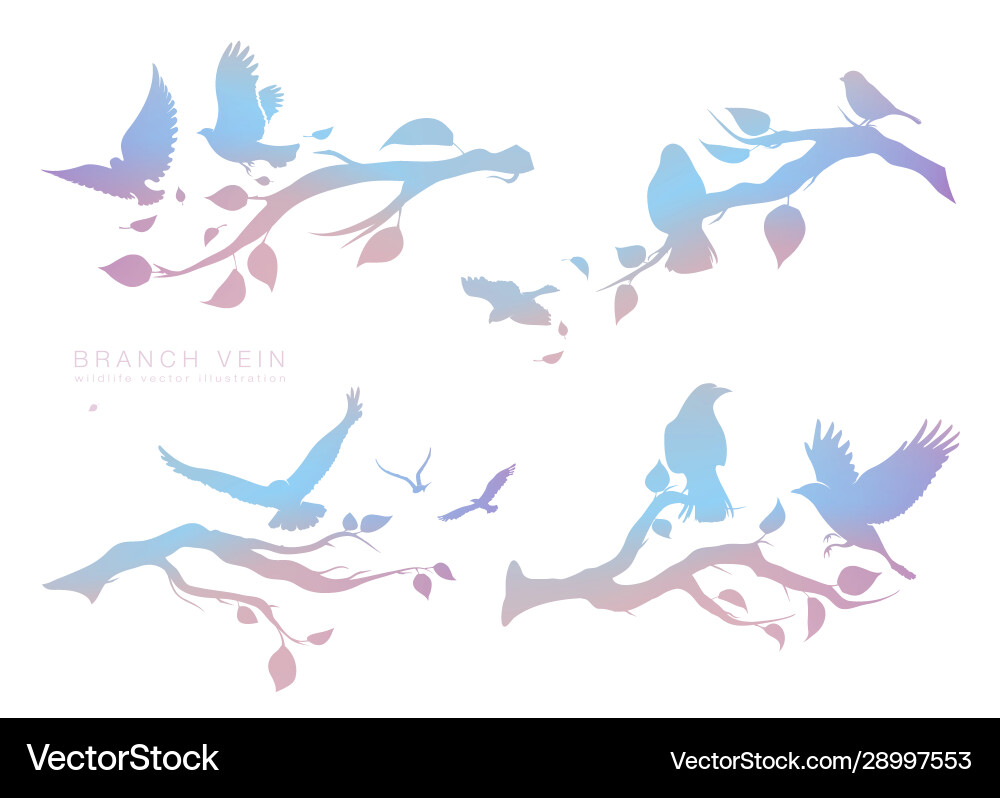 Figure set multicolored flock flying birds Vector Image