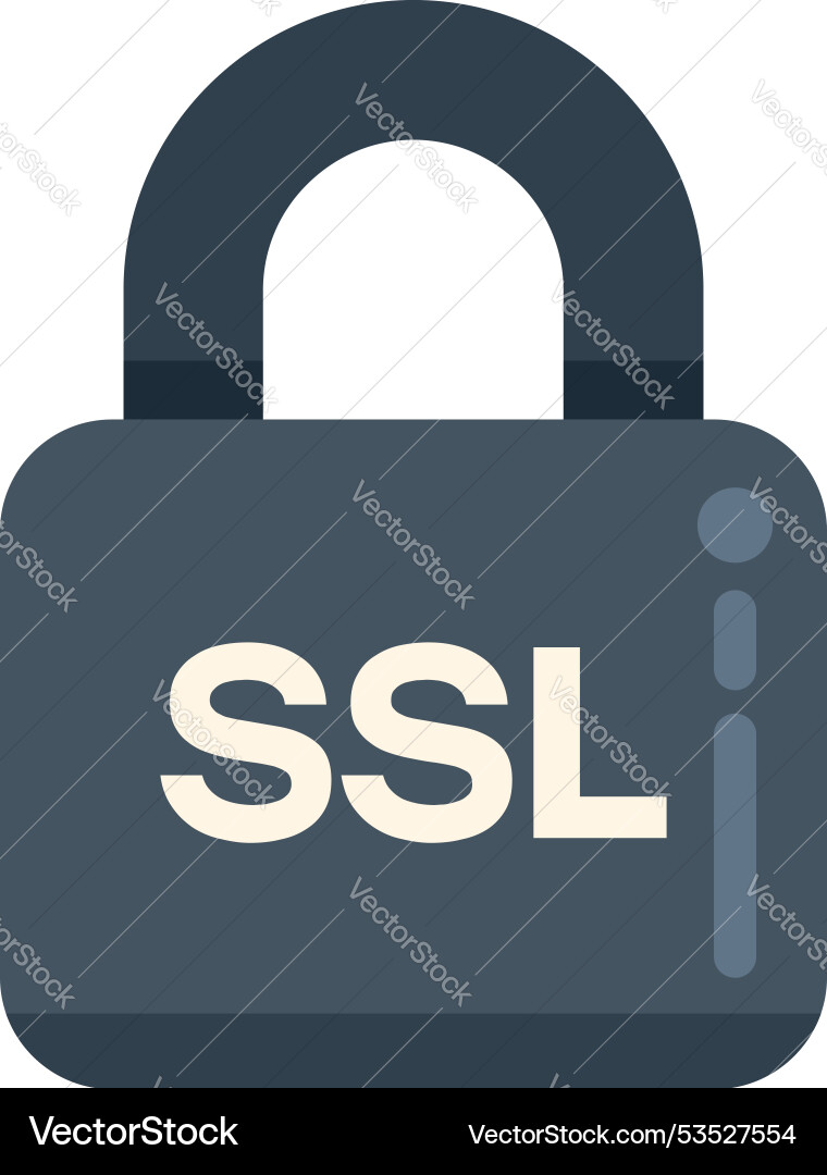 Sichere Steckdosenschicht ssl padlock schützen Website Sichere Steckdosenschicht ssl padlock schützen Website vektorbild