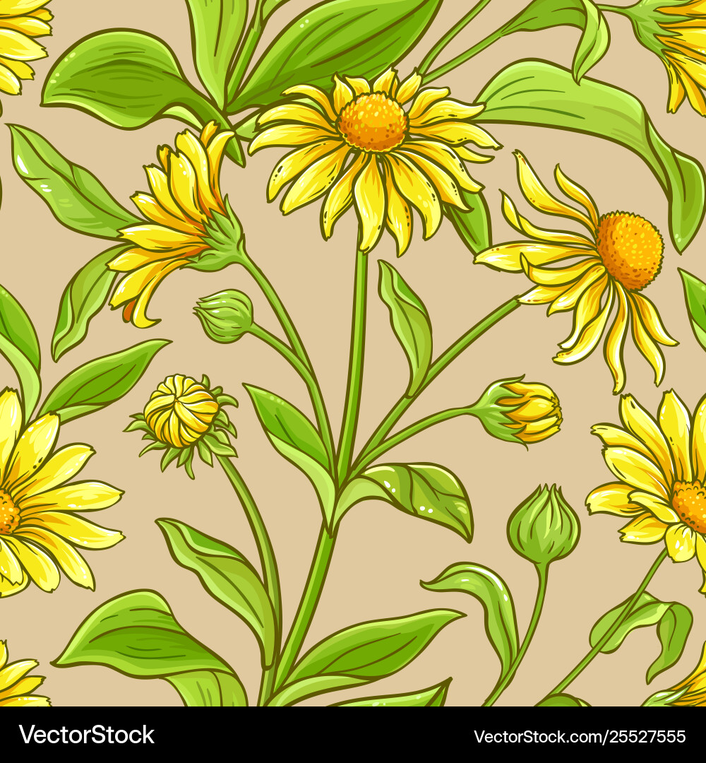 Arnica plant pattern on color background Vector Image