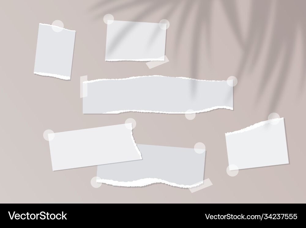 Realistic empty torn paper notes with sticky tape Realistic empty torn paper notes with sticky tape vector image