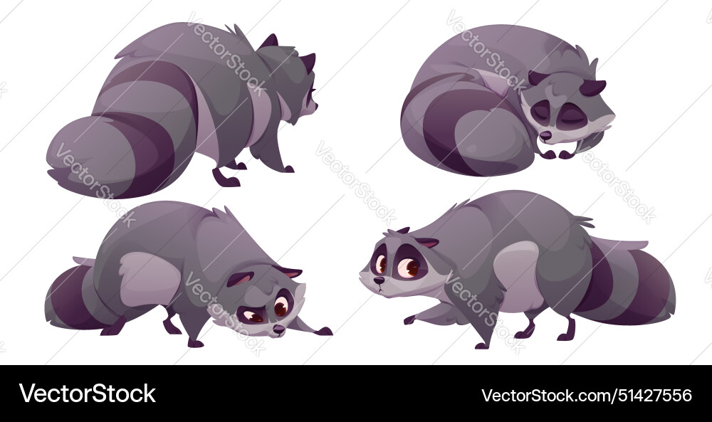 Süße racoon charakter lustige Waschbär Cartoon Set Süße racoon charakter lustige Waschbär Cartoon Set vektorbild