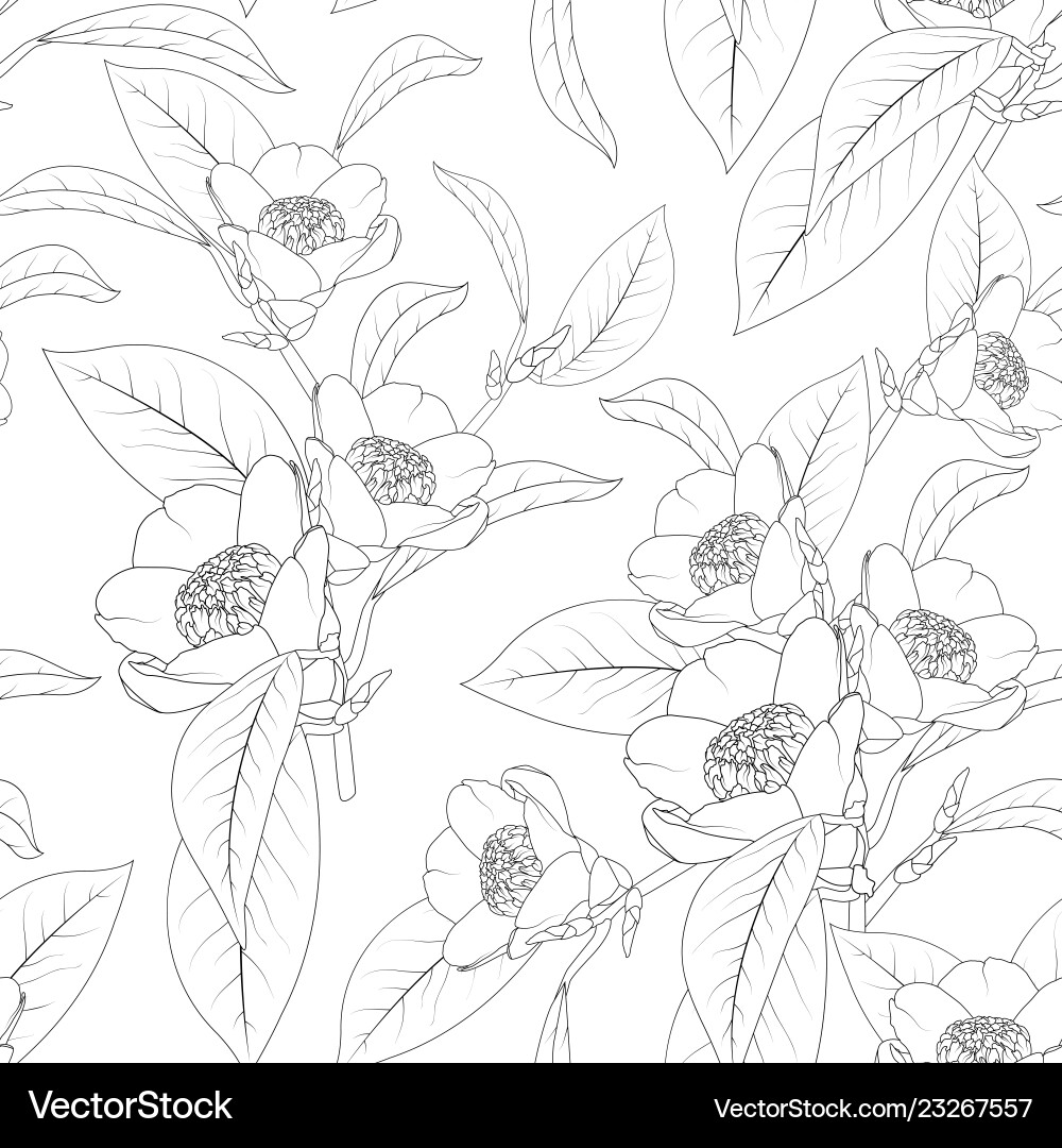 Camellia flowers bouquet with leaves line design Camellia flowers bouquet with leaves line design vector image
