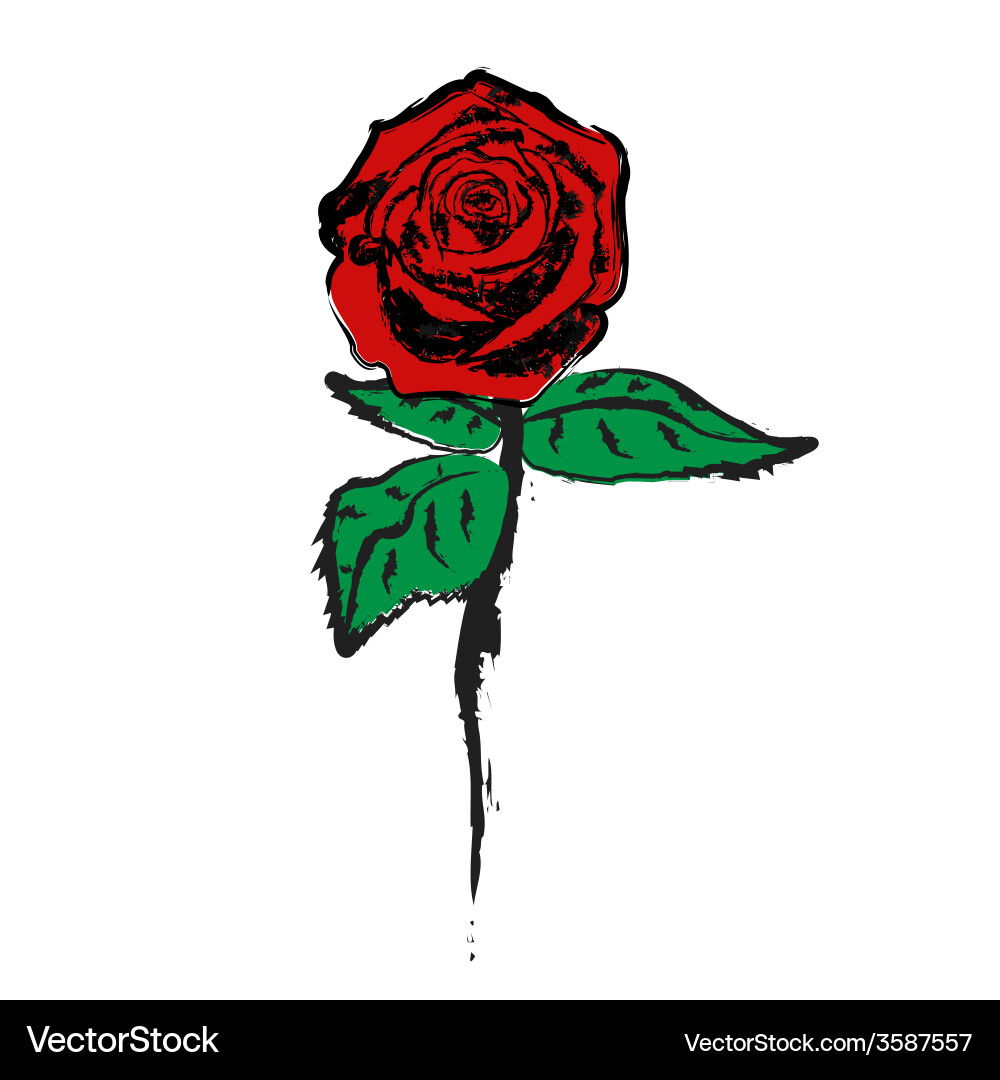 Rose Royalty Free Vector Image - VectorStock