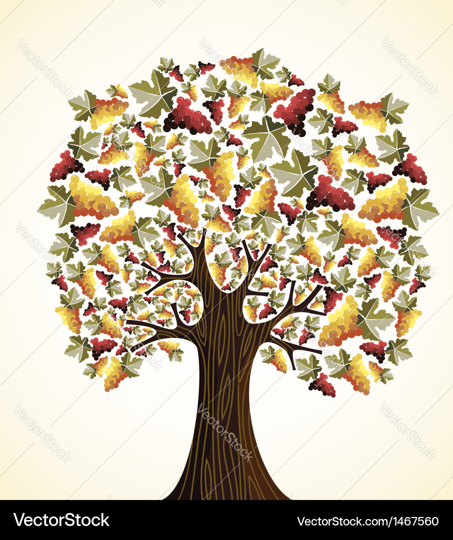 Wine and grapes tree vector image