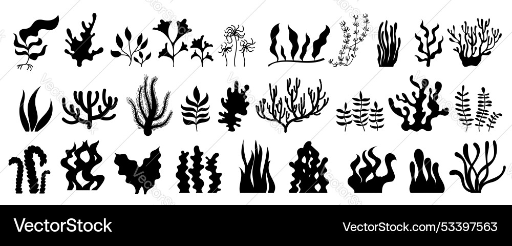 Black seaweed and coral silhouettes collection Black seaweed and coral silhouettes collection vector image