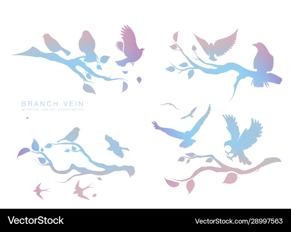 Figure set multicolored flock flying birds Vector Image