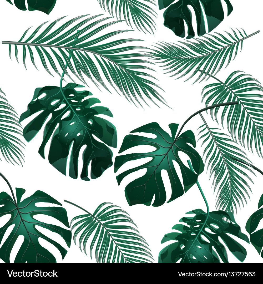 Tropical palm leaves jungle thickets seamless Tropical palm leaves jungle thickets seamless vector image