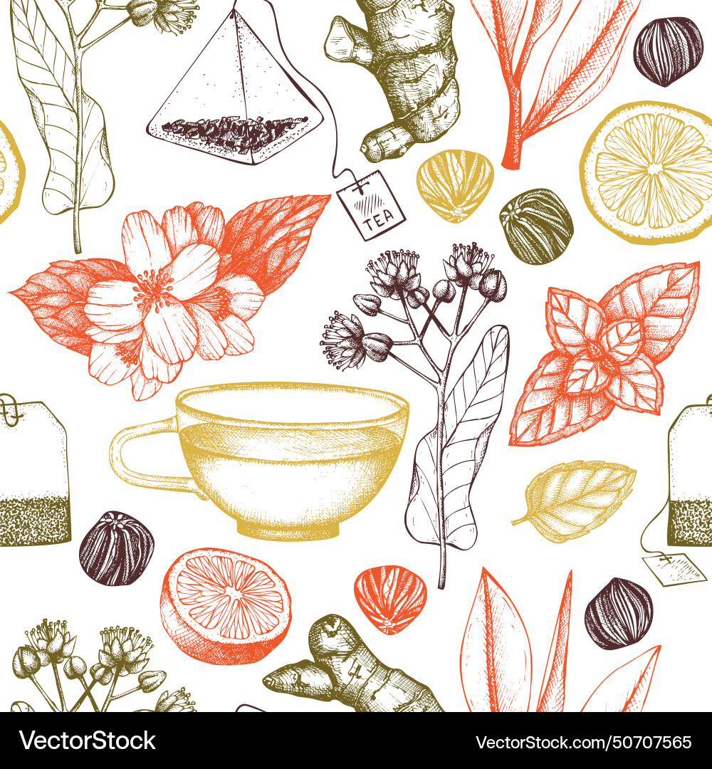 Tea seamless pattern herbal ingredient Royalty Free Vector