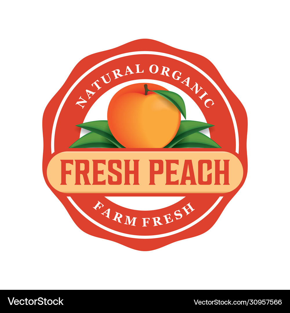 Peach (30957566) – Royalty-Free Vector | VectorStock