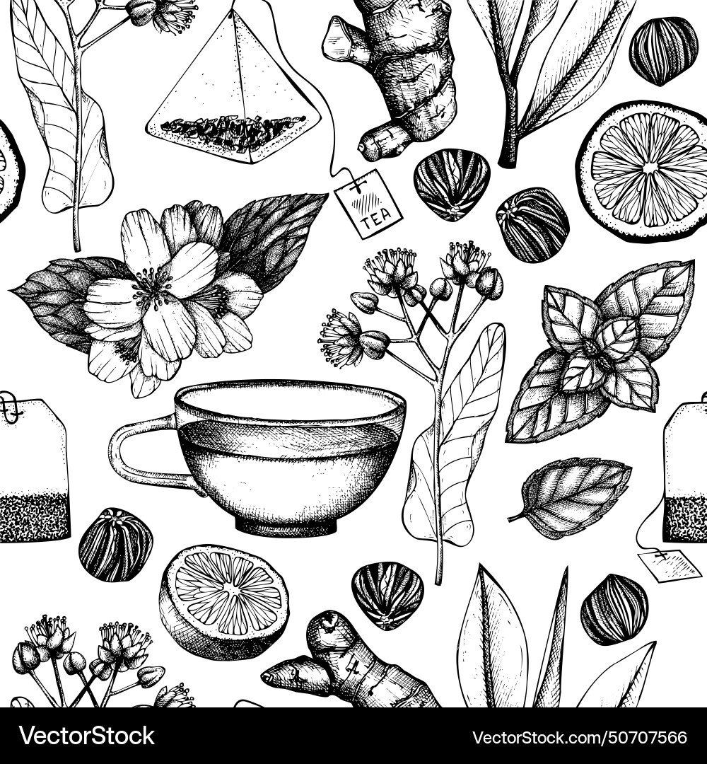 Tea seamless pattern herbal ingredient vector image