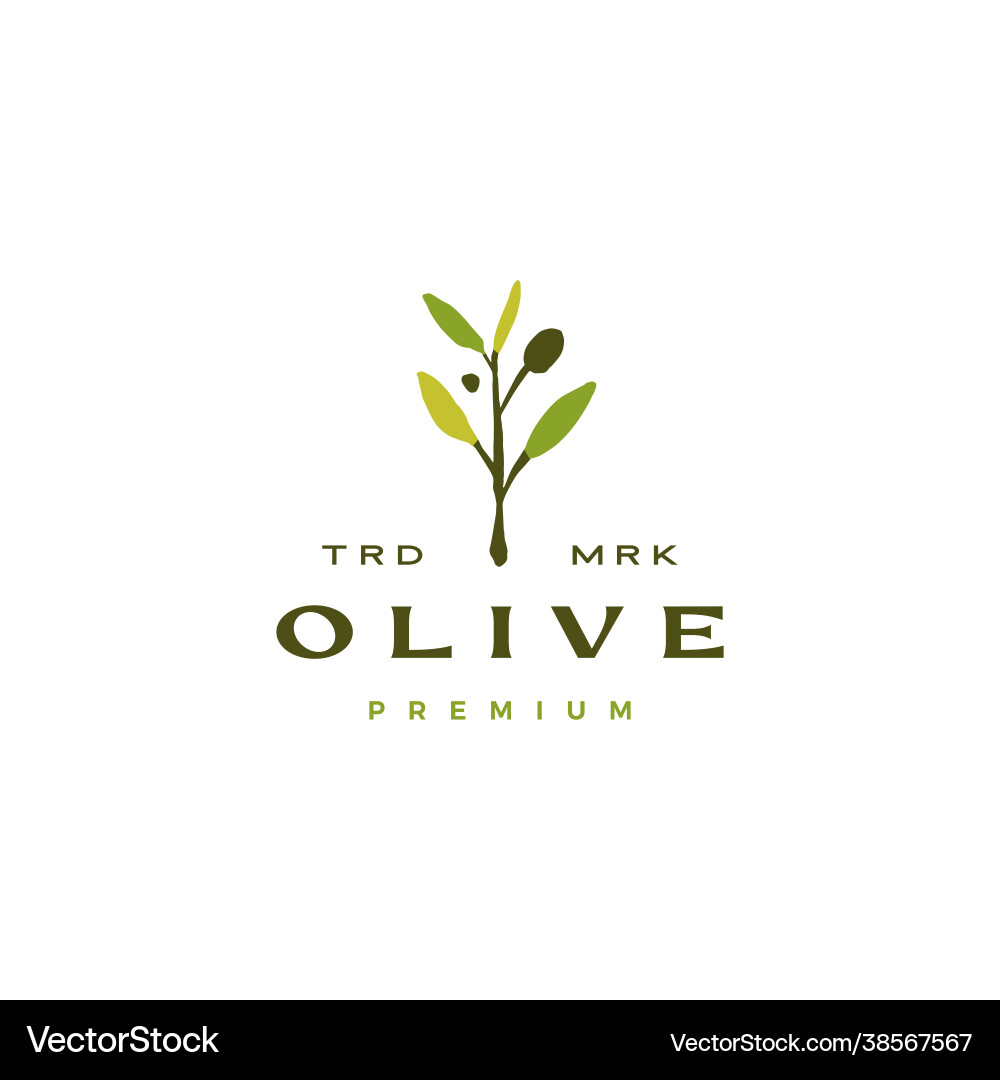 Olive branch leaf logo icon Olive branch leaf logo icon vector image