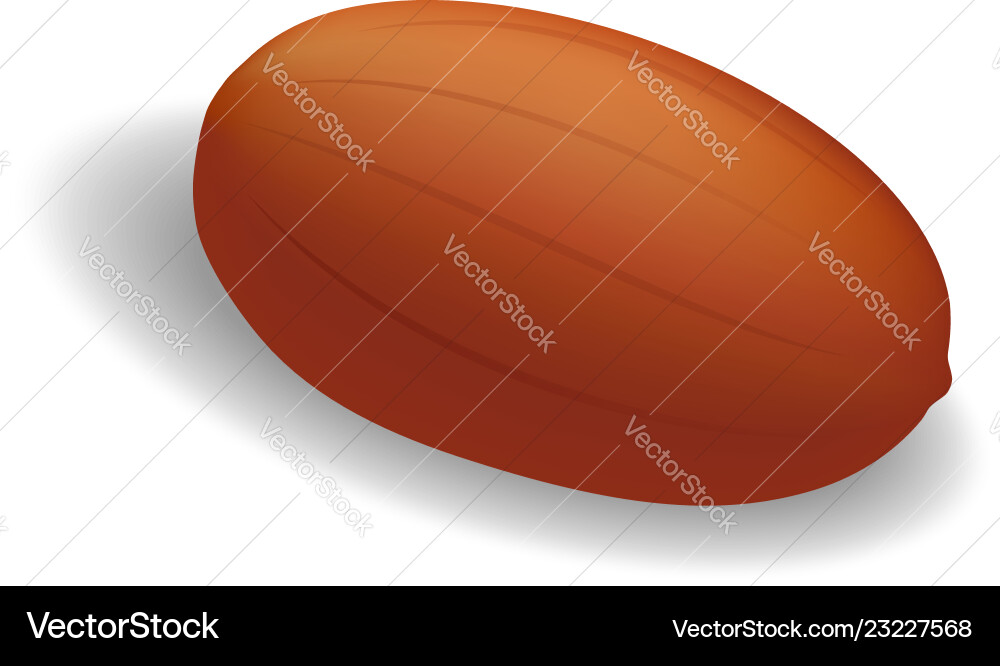 Raw peanut icon realistic style Vector Image