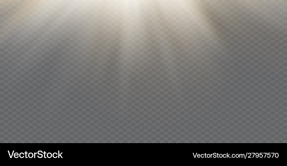 White glowing light explodes on a transparent White glowing light explodes on a transparent vector image