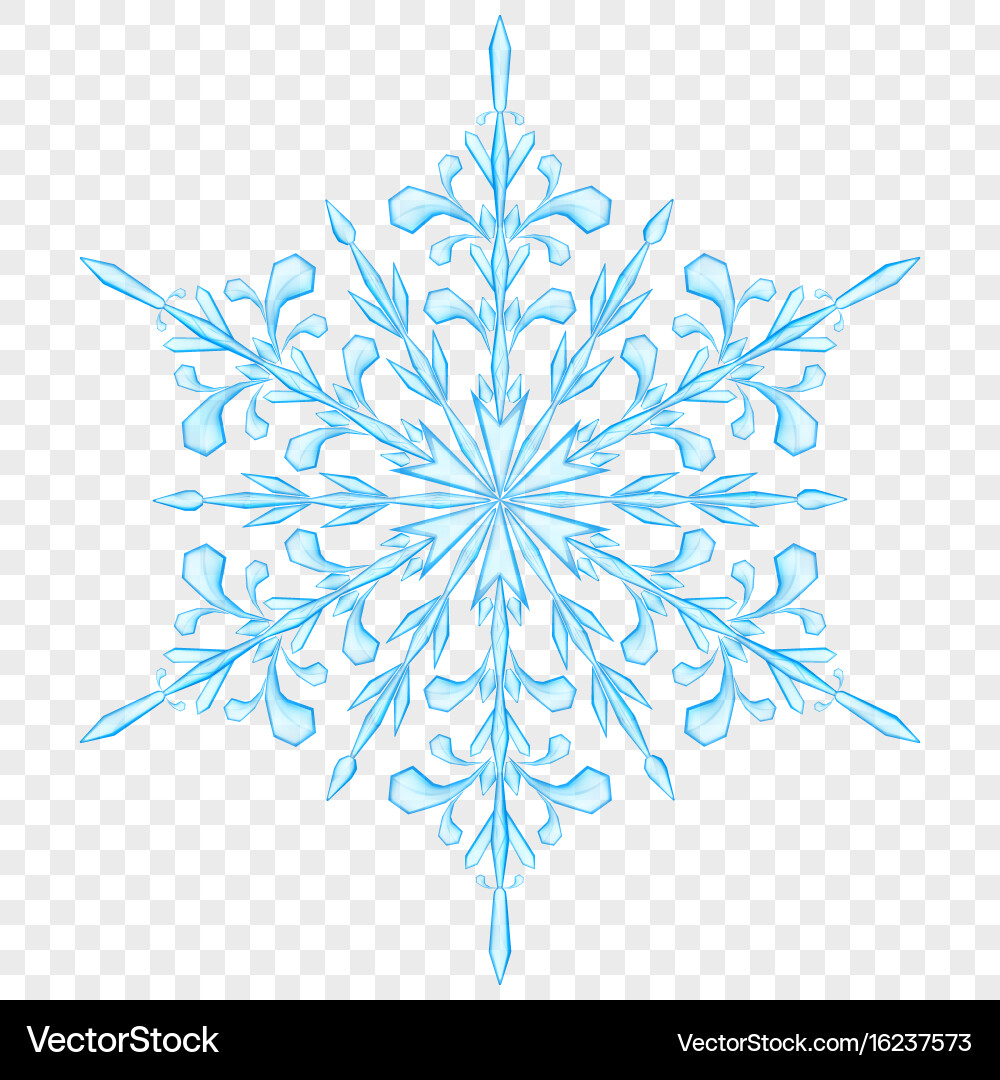 Translucent Snowflake Vector Image