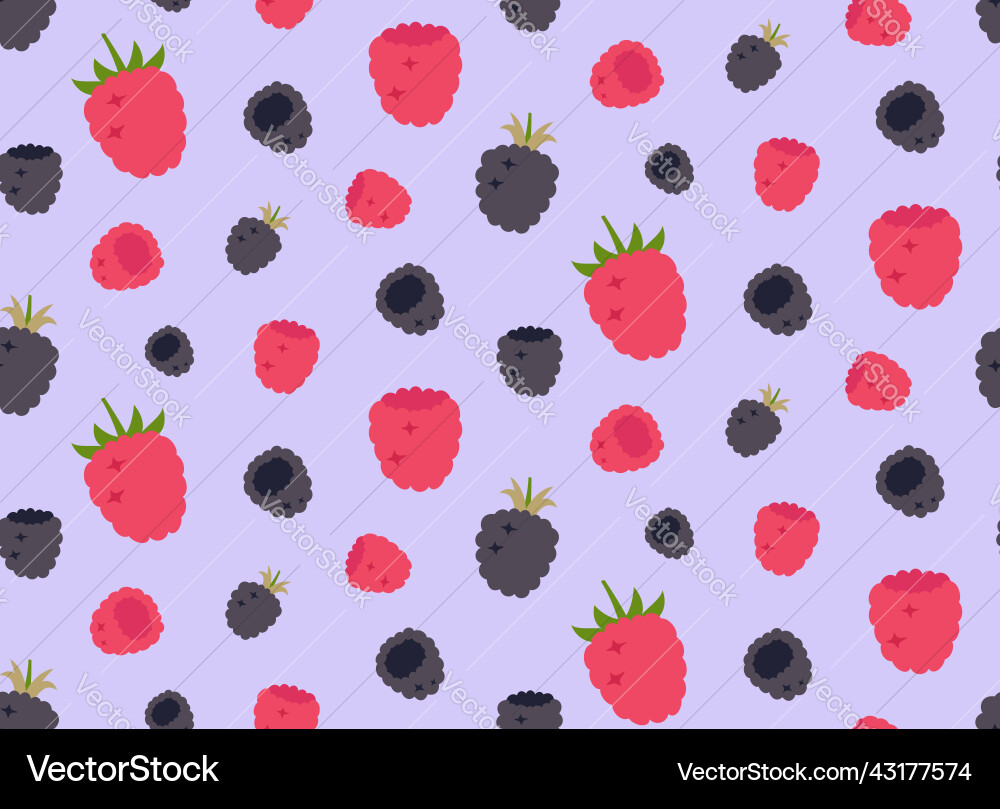 Seamless pattern with raspberry and blackberry vector image