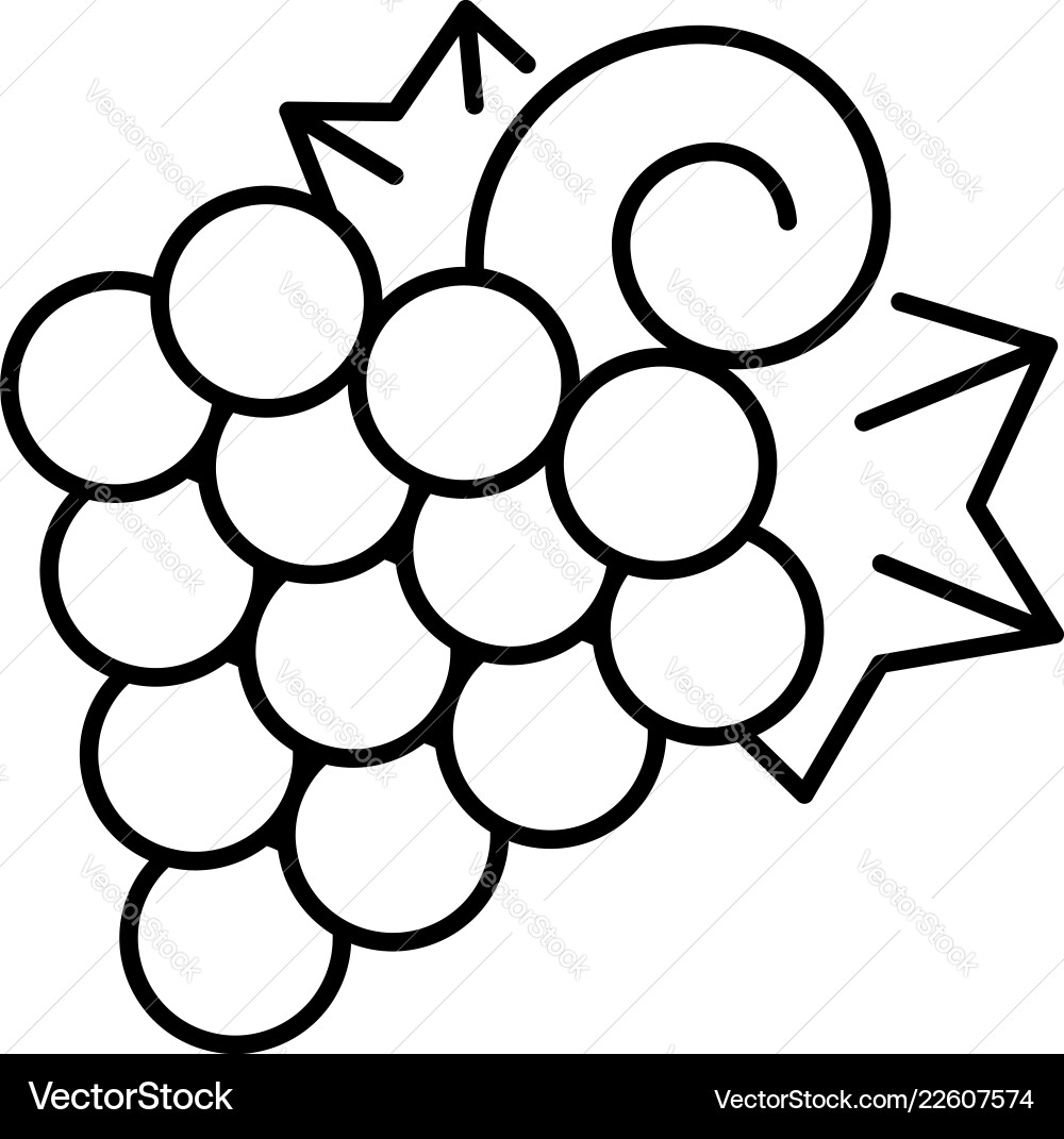 Vitis grape icon outline style Vitis grape icon outline style vector image