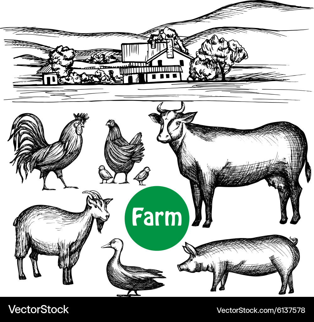Farm Animals Set Royalty Free Vector Image - VectorStock