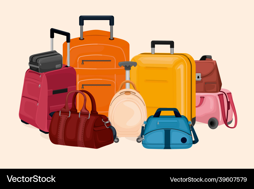 Bag luggage vector image