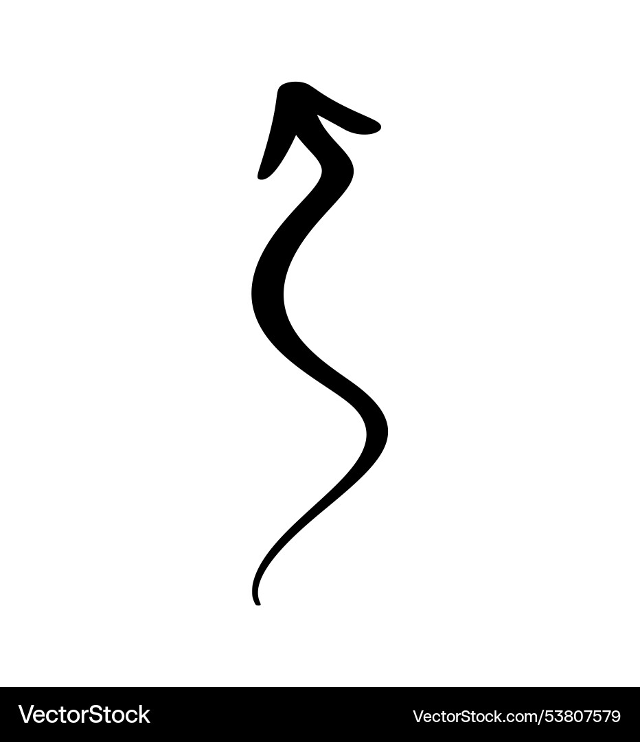 Curved wavy arrow simple for design projects Vector Image