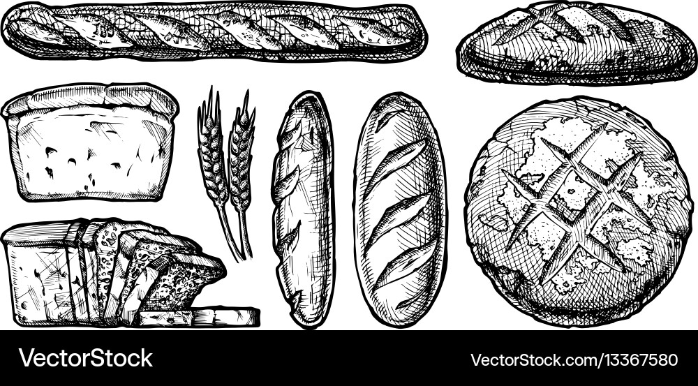 Bread Variety Set vector image